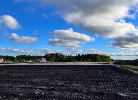 Zdjęcie WhatsApp 2025-09-04 o 10.54.01_5bf5bee6_wynik