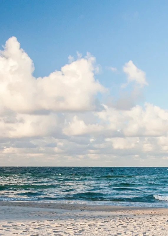 image00003-Niestandardowe_wynik